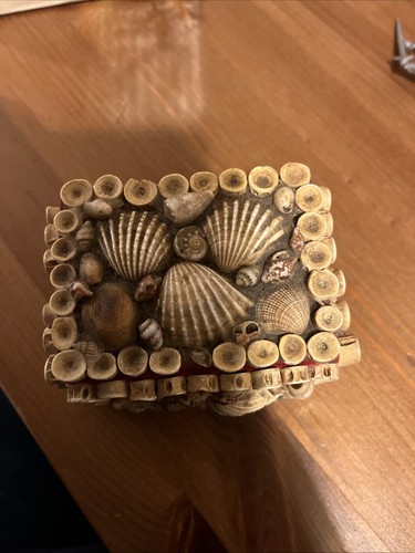 Shell covered trinket box - covered,